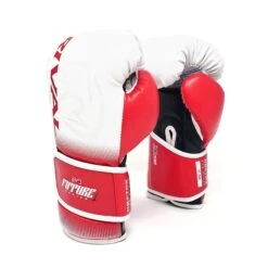 RB-FTR2 Future Bag Gloves -Boxing Supply Hub rbftr2 03