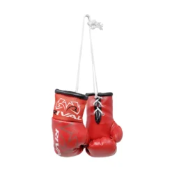 Mini Boxing Gloves -Boxing Supply Hub rmbg 04 red scaled
