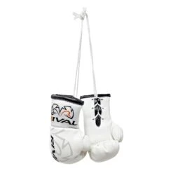 Mini Boxing Gloves 6 Mini Boxing Gloves -Boxing Supply Hub rmbg 04 white