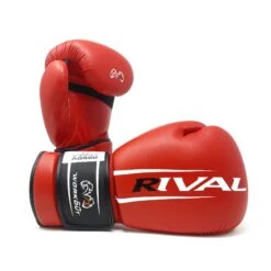 RS60V Workout Sparring Gloves 2.0